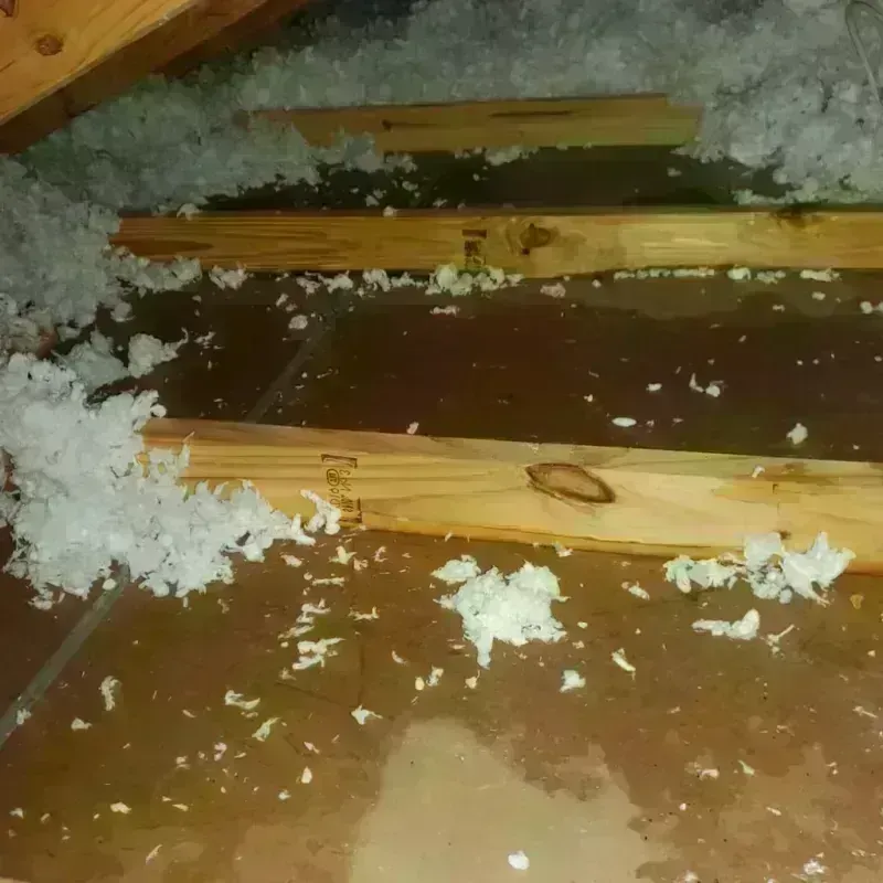 Attic Water Damage in Decatur, TX