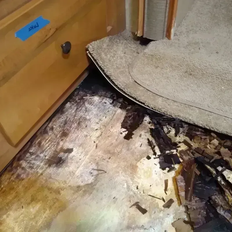 Wood Floor Water Damage in Decatur, TX